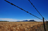 The Best of Times - Images of Rural Australia by Zoe Phillips