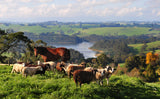 The Best of Times - Images of Rural Australia by Zoe Phillips